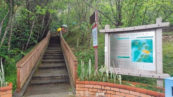 【南投魚池埔里】貓纜山步道x胡國雄古早x 埔里肉包李x台灣惠