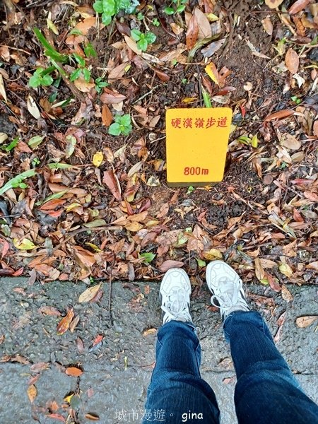 【新北八里】No5小百岳~硬漢嶺觀音山~