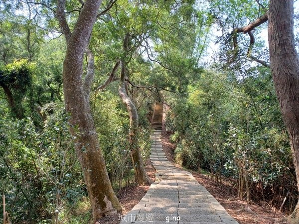 【2024.04.20】跟著我去旅行~苗栗造橋~劍潭古道~