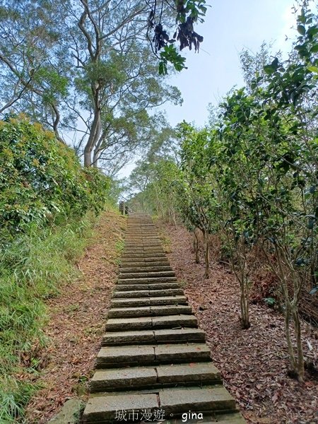 【2024.04.20】跟著我去旅行~苗栗造橋~劍潭古道~
