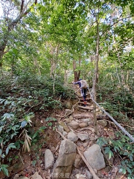 【屏東獅子鄉】台灣百大必訪步道~里龍山步道~