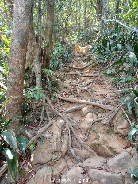 【屏東獅子鄉】台灣百大必訪步道~里龍山步道~