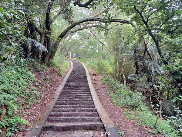 【新竹芎林】台灣百大必訪步道。 飛鳳山、觀日坪古道O繞