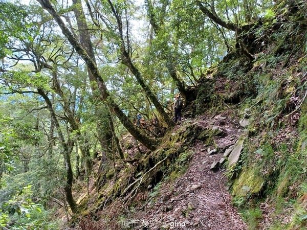 【花蓮秀林】花蓮秀林-No67百岳屏風山