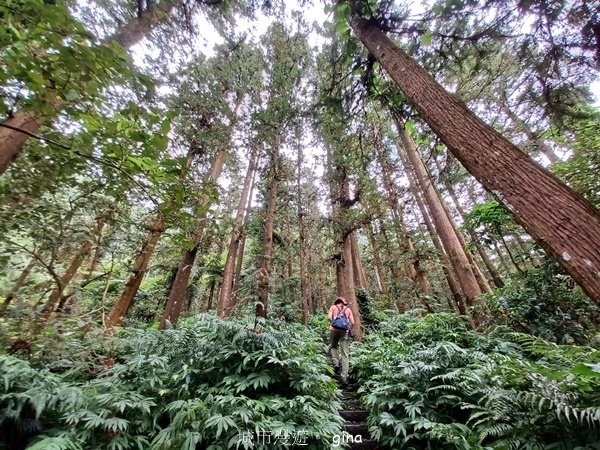 【2024.09.28】跟著我去旅行~苗栗獅潭~仙山登山步道