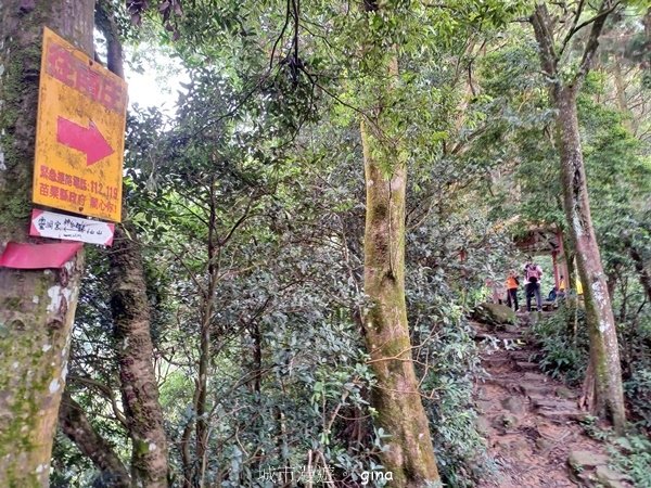 【2024.09.28】跟著我去旅行~苗栗獅潭~仙山登山步道