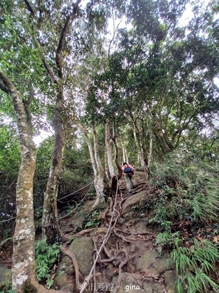 【2024.09.28】跟著我去旅行~苗栗獅潭~仙山登山步道