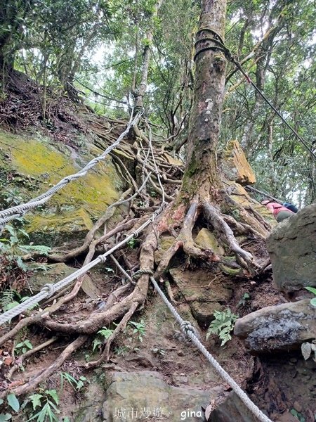 【2024.09.28】跟著我去旅行~苗栗獅潭~仙山登山步道