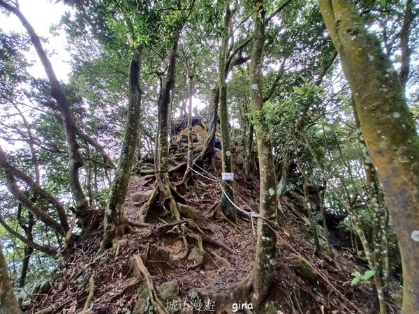 【2024.09.28】跟著我去旅行~苗栗獅潭~仙山登山步道