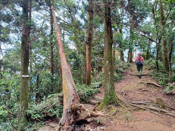 【2024.09.28】跟著我去旅行~苗栗獅潭~仙山登山步道