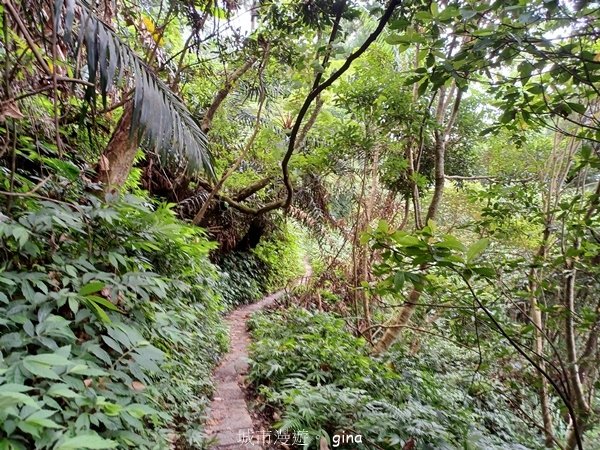 【2024.09.28】跟著我去旅行~苗栗獅潭~仙山登山步道