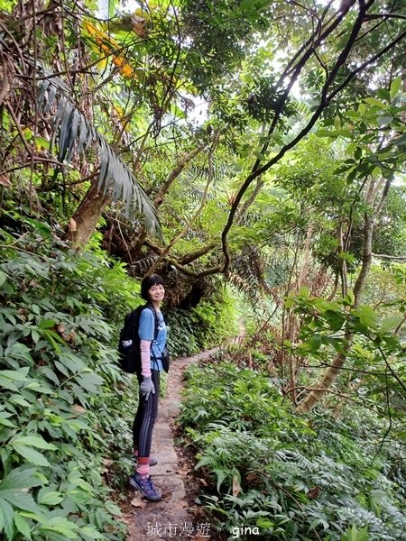 【2024.09.28】跟著我去旅行~苗栗獅潭~仙山登山步道