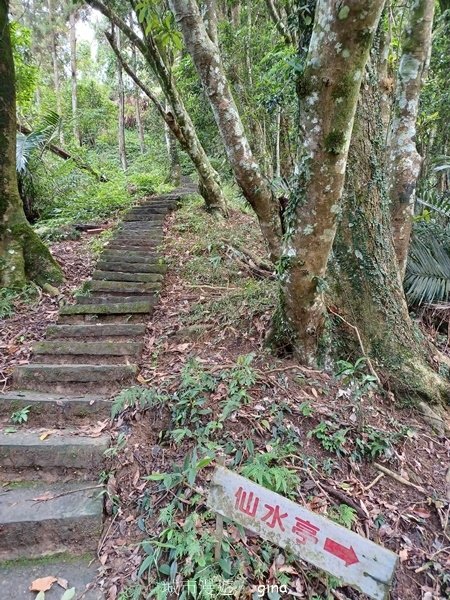 【2024.09.28】跟著我去旅行~苗栗獅潭~仙山登山步道