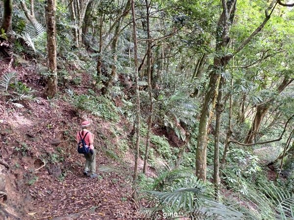 【2024.09.28】跟著我去旅行~苗栗獅潭~仙山登山步道