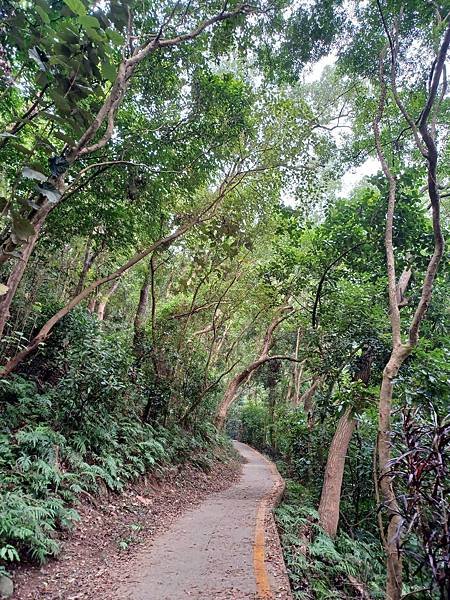 【2025.01.01】跟著我去旅行~田中森林步道赤水崎公園