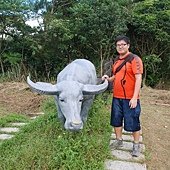 中規中矩的照片…