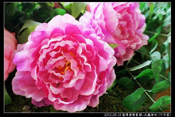 nEO_IMG_DSC05443