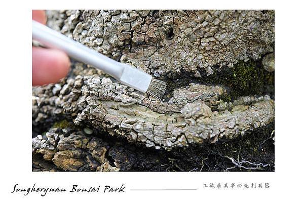 喜久和幹洗刷-3.jpg