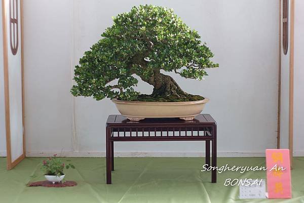 2013 雅風展