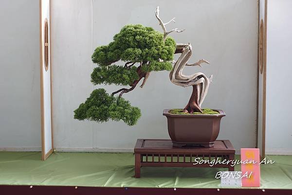 2013 雅風展