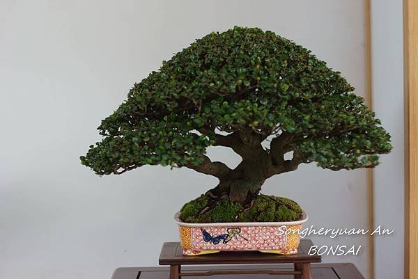 2013 雅風展