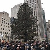 NY02.jpg