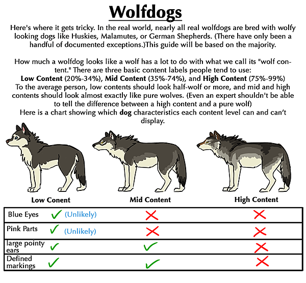 WolfDog01.png