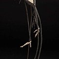 1075 Original Jack Skellington maquette from The Nightmare Before Christmas 12,000 USD.jpg