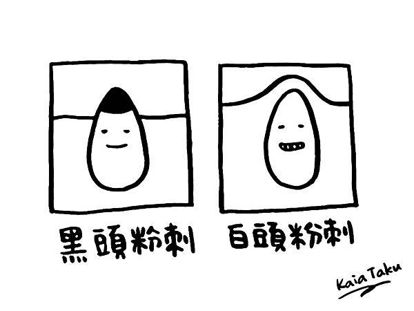 清黑頭粉刺1.jpg
