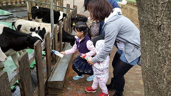 1203苗栗四方牧場_171221_0002.jpg