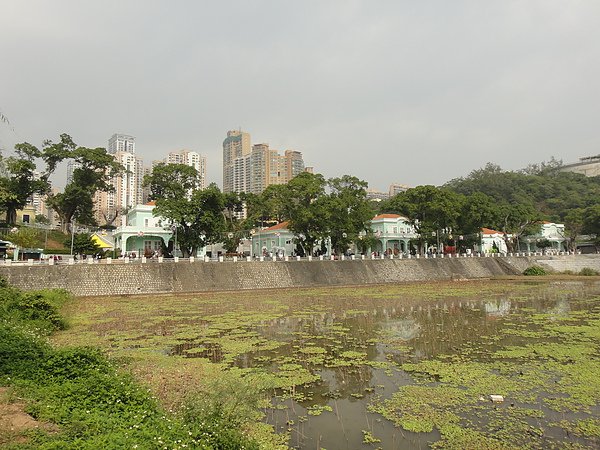 DSC05839.JPG