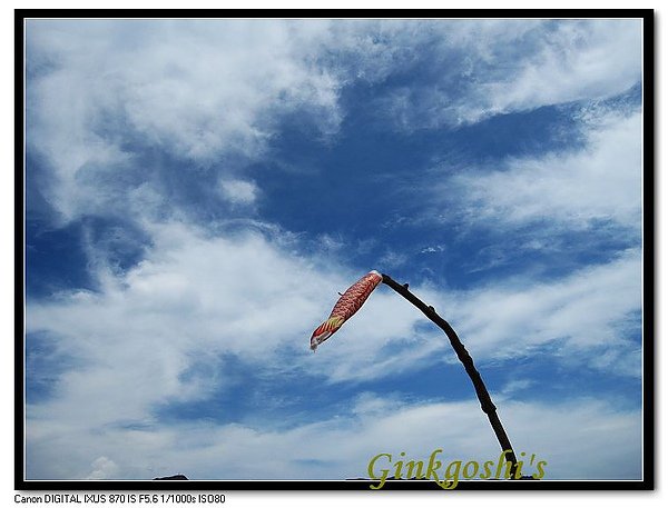 IMG_0477_nEO_IMG.jpg