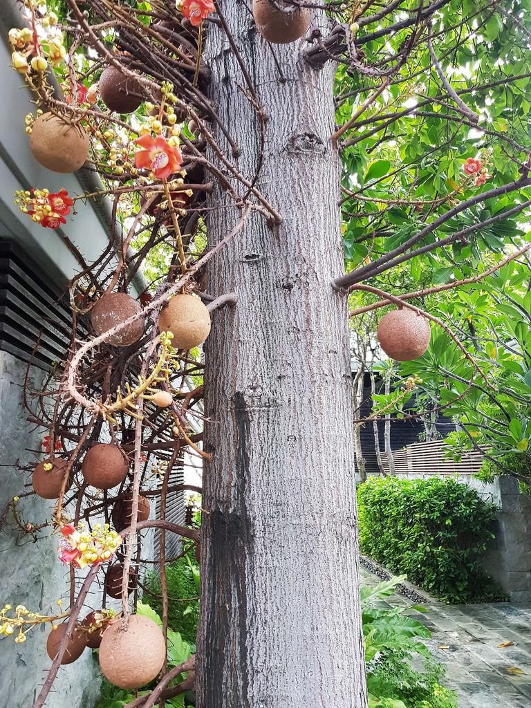 20180523_063131.jpg