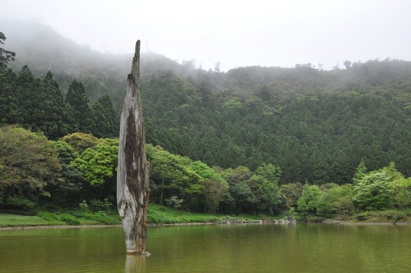 桃園宜蘭 (85).JPG