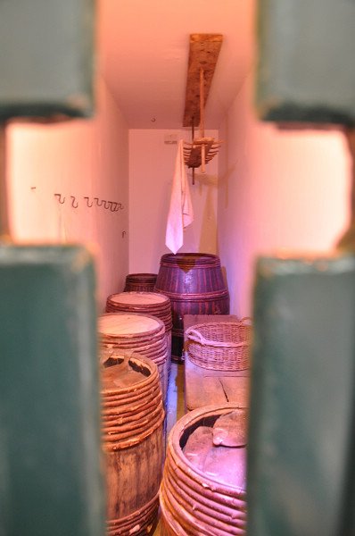 縮 (19).JPG