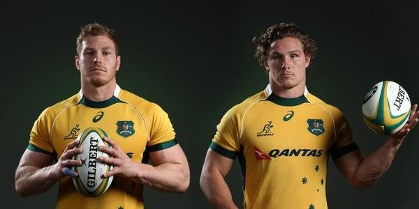 Wallabies-Hocock-@Ws.jpg