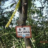 IMG_0836