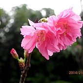 IMG_2123