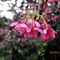 IMG_2158