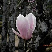 IMG_2553