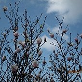 IMG_2550