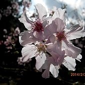 IMG_2500