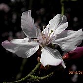IMG_2470