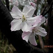 IMG_2527