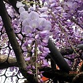 IMG_3203