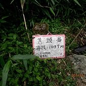 IMG_4632