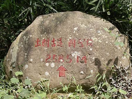 CIMG1384