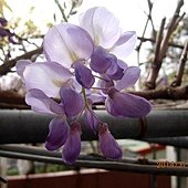 IMG_3214