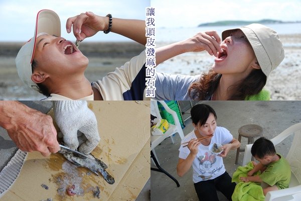 潮間3.jpg