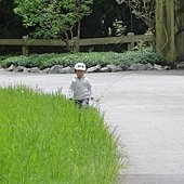 DSC00010.JPG